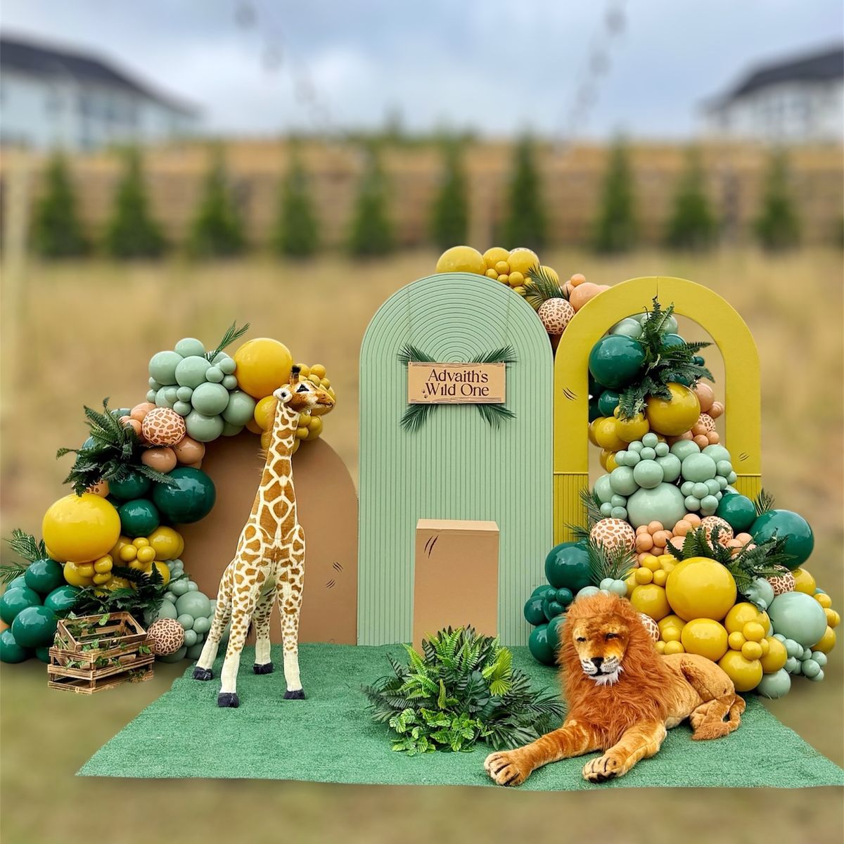 Wild One Safari